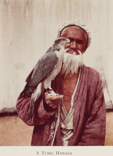 Peaks and Plains of Central Asia by Reginald Charles Francis Schomberg