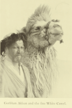 Hazards of Asia’s Highlands and Deserts by Walter Bosshard