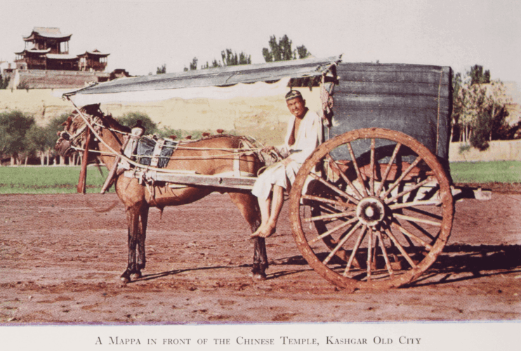 Peaks and Plains of Central Asia by Reginald Charles Francis Schomberg