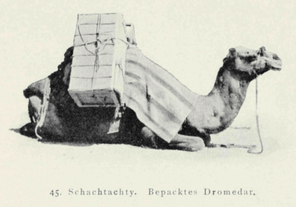 Eine Reise durch Vorderasien im Jahre 1904 by Erich Zugmayer