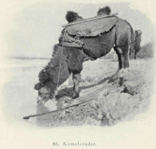 Eine Reise durch Vorderasien im Jahre 1904 by Erich Zugmayer