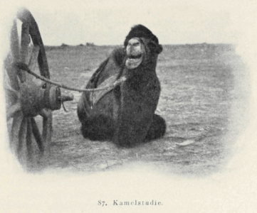 Eine Reise durch Vorderasien im Jahre 1904 by Erich Zugmayer