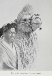 Durch Tibet und Turkistan: Reisen im unberührten Asien by Walter Bosshard