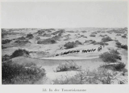 Durch Tibet und Turkistan: Reisen im unberührten Asien by Walter Bosshard