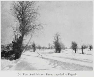 Durch Tibet und Turkistan: Reisen im unberührten Asien by Walter Bosshard