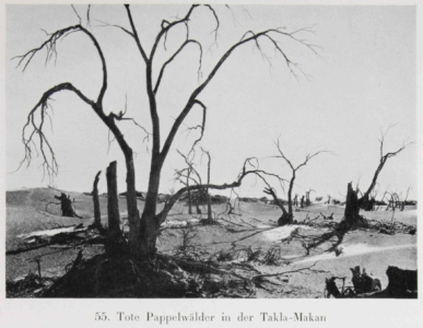 Durch Tibet und Turkistan: Reisen im unberührten Asien by Walter Bosshard