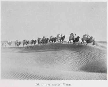 Durch Tibet und Turkistan: Reisen im unberührten Asien by Walter Bosshard