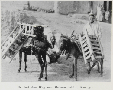 Durch Tibet und Turkistan: Reisen im unberührten Asien by Walter Bosshard