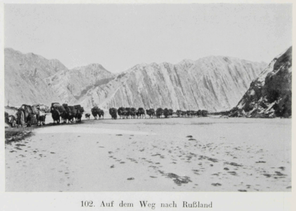 Durch Tibet und Turkistan: Reisen im unberührten Asien by Walter Bosshard