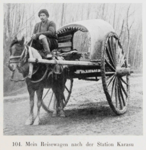 Durch Tibet und Turkistan: Reisen im unberührten Asien by Walter Bosshard