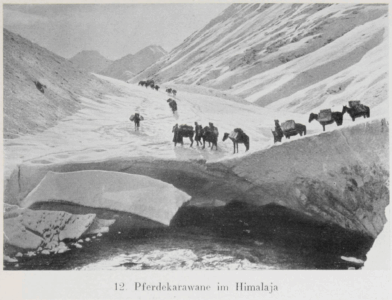 Durch Tibet und Turkistan: Reisen im unberührten Asien by Walter Bosshard