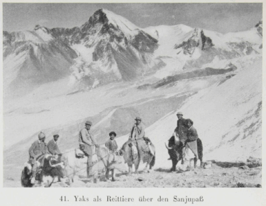 Durch Tibet und Turkistan: Reisen im unberührten Asien by Walter Bosshard