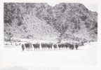 Travels and Archaeological Field-Work in Mongolia and Sinkiang: A Diary of the Years 1927-1934 by Folke Bergman