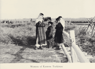 Journey to Turkistan by Eric Teichman