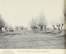 Journey to Turkistan by Eric Teichman