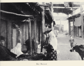 Journey to Turkistan by Eric Teichman