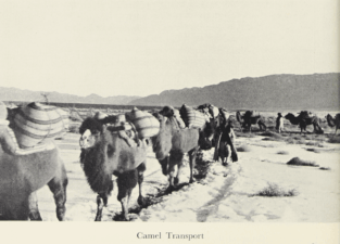 Journey to Turkistan by Eric Teichman