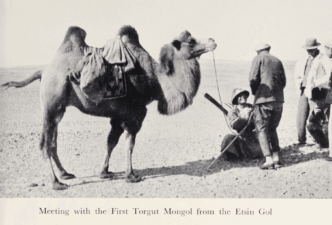 Journey to Turkistan by Eric Teichman