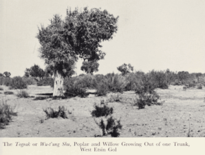 Journey to Turkistan by Eric Teichman