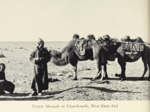 Journey to Turkistan by Eric Teichman