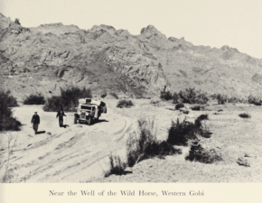 Journey to Turkistan by Eric Teichman