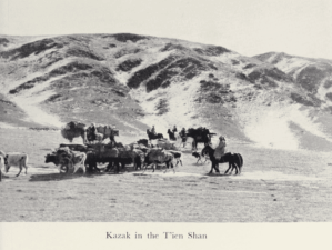 Journey to Turkistan by Eric Teichman