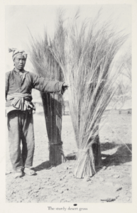 The Gobi Desert by Mildred Cable, Francesca French