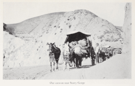 The Gobi Desert by Mildred Cable, Francesca French