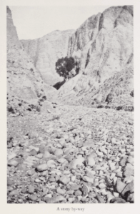 The Gobi Desert by Mildred Cable, Francesca French