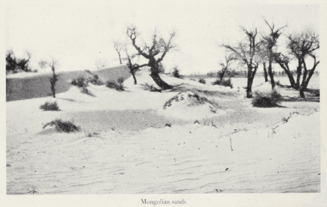 The Gobi Desert by Mildred Cable, Francesca French