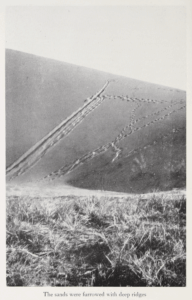 The Gobi Desert by Mildred Cable, Francesca French