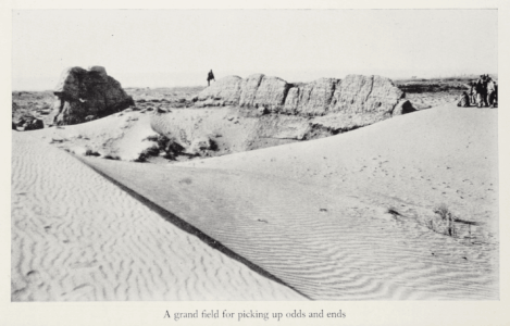The Gobi Desert by Mildred Cable, Francesca French
