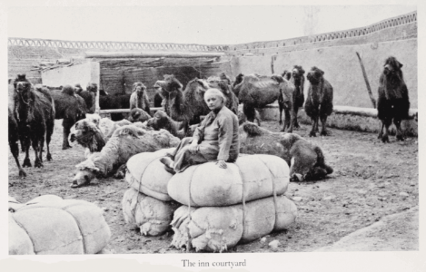 The Gobi Desert by Mildred Cable, Francesca French
