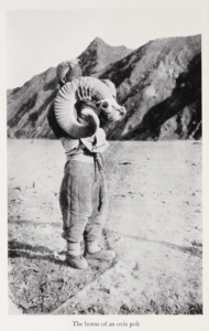 The Gobi Desert by Mildred Cable, Francesca French