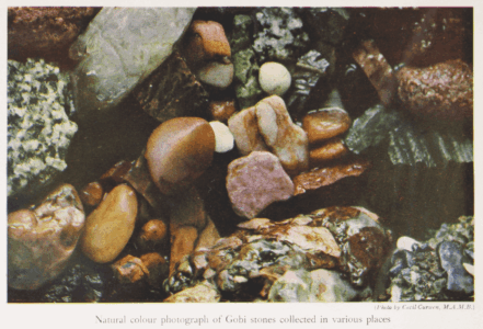 The Gobi Desert by Mildred Cable, Francesca French