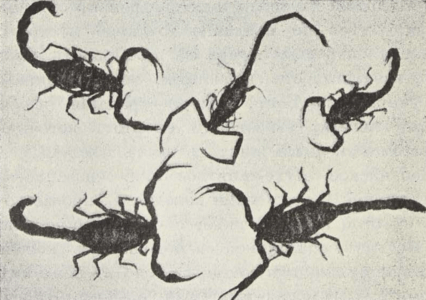 Central Asia; travel accounts; Д. Н. Логофеть; D. N. Logofet’; 1909; Transcaspian region: Tsarist Russian Central Asia