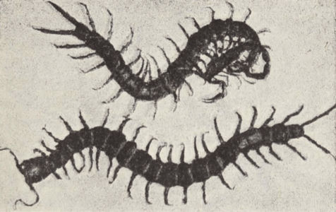 Central Asia; travel accounts; Д. Н. Логофеть; D. N. Logofet’; 1909; Transcaspian region: Tsarist Russian Central Asia