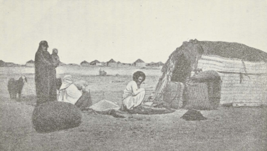 Central Asia; travel accounts; Д. Н. Логофеть; D. N. Logofet’; 1909; Transcaspian region: Tsarist Russian Central Asia