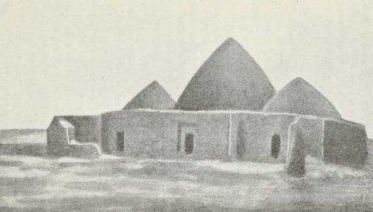 Central Asia; travel accounts; Д. Н. Логофеть; D. N. Logofet’; 1909; Transcaspian region: Tsarist Russian Central Asia