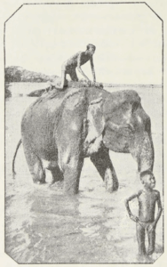 Central Asia; travel accounts; Д. Н. Логофеть; D. N. Logofet’; 1909; Transcaspian region: Tsarist Russian Central Asia