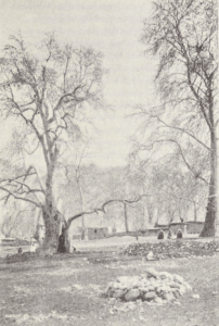 Central Asia; travel accounts; Д. Н. Логофеть; D. N. Logofet’; 1909; Transcaspian region: Tsarist Russian Central Asia