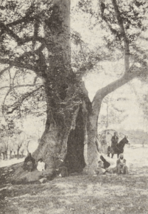 Central Asia; travel accounts; Д. Н. Логофеть; D. N. Logofet’; 1909; Transcaspian region: Tsarist Russian Central Asia