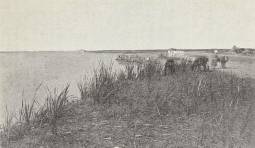 Central Asia; travel accounts; Д. Н. Логофеть; D. N. Logofet’; 1909; Transcaspian region: Tsarist Russian Central Asia