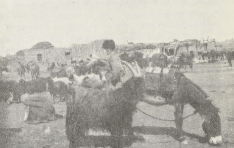 Central Asia; travel accounts; Д. Н. Логофеть; D. N. Logofet’; 1909; Transcaspian region: Tsarist Russian Central Asia