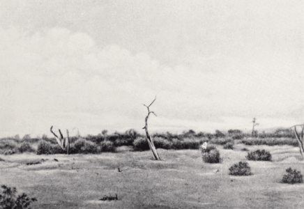 Путешествие в Кашгарию и Кун-Лунь; Kashgaria; Kun-lun; М. В. Певцов; M. V. Pevtsov; Б. В. Лунина; expedition routes; Eastern Turkestan; Central Asia; Tibet