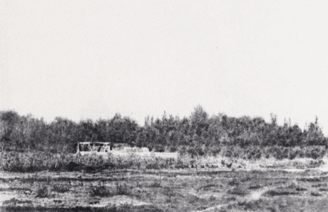 Путешествие в Кашгарию и Кун-Лунь; Kashgaria; Kun-lun; М. В. Певцов; M. V. Pevtsov; Б. В. Лунина; expedition routes; Eastern Turkestan; Central Asia; Tibet