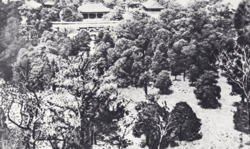 Монголия и cтрана Тангутов; Mongolia; Tanguts; East Asia; И. М. Пржевальский; N. M. Przevalskij; expedition to East Asia; Eastern Turkestan