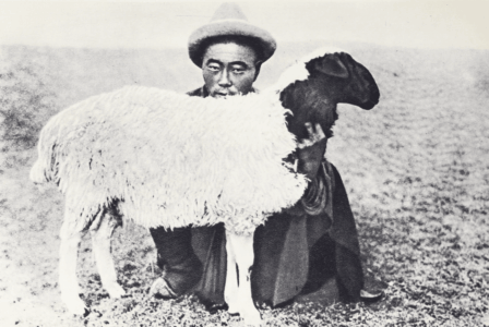 Монголия и cтрана Тангутов; Mongolia; Tanguts; East Asia; И. М. Пржевальский; N. M. Przevalskij; expedition to East Asia; Eastern Turkestan