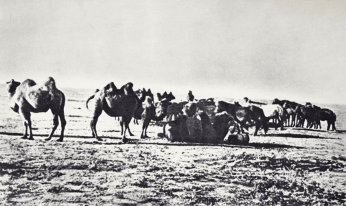 Монголия и cтрана Тангутов; Mongolia; Tanguts; East Asia; И. М. Пржевальский; N. M. Przevalskij; expedition to East Asia; Eastern Turkestan