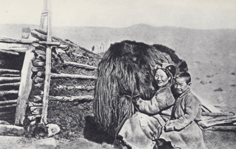 Монголия и cтрана Тангутов; Mongolia; Tanguts; East Asia; И. М. Пржевальский; N. M. Przevalskij; expedition to East Asia; Eastern Turkestan